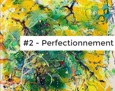 Module 2: Perfectionnement – Meilleures pratiques de Dave Elman